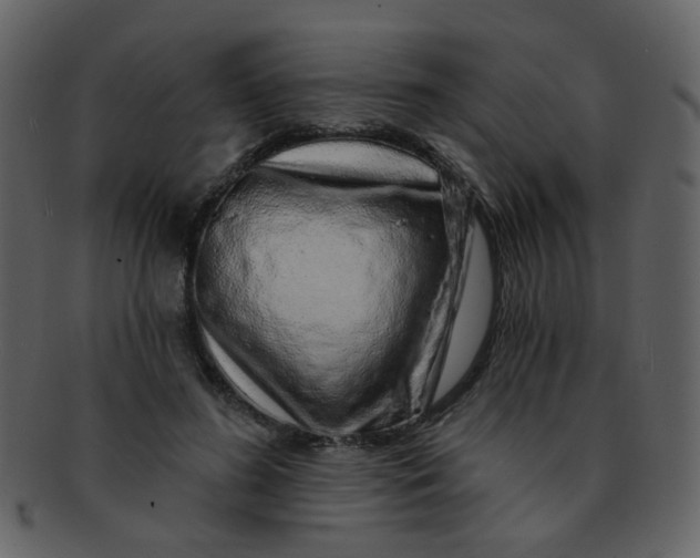 X0000093140596200710171331