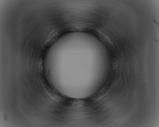 X0000093140599200710171331