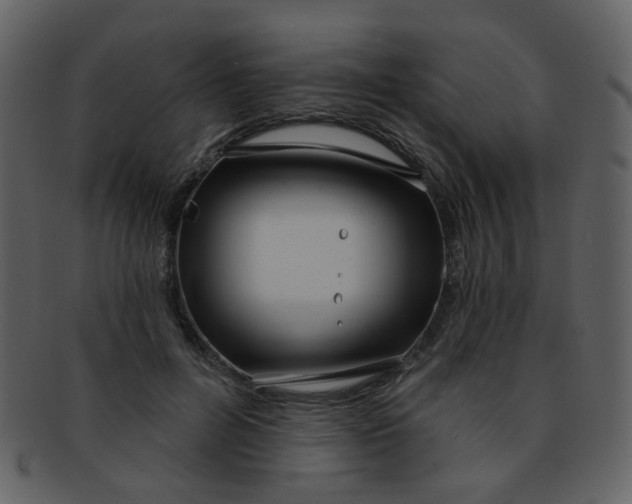 X0000093140600200710171331