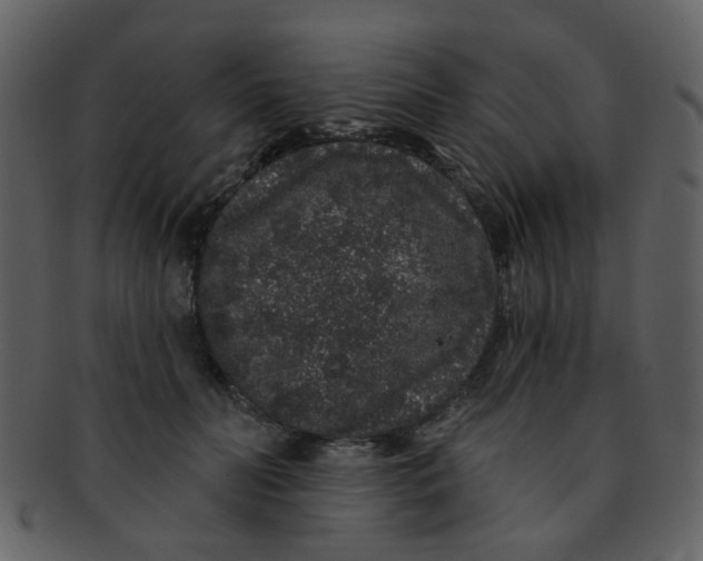 X0000093140606200710171330