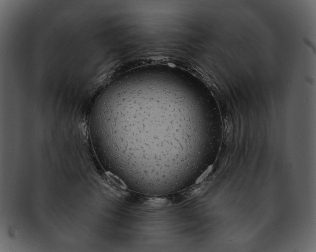 X0000093140609200710171330