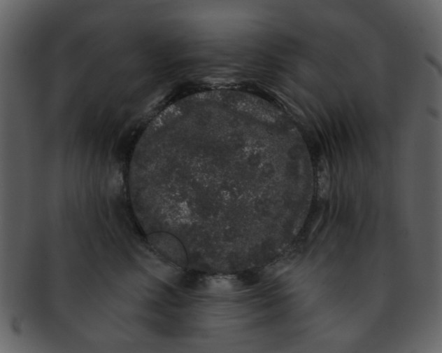 X0000093140618200710171330