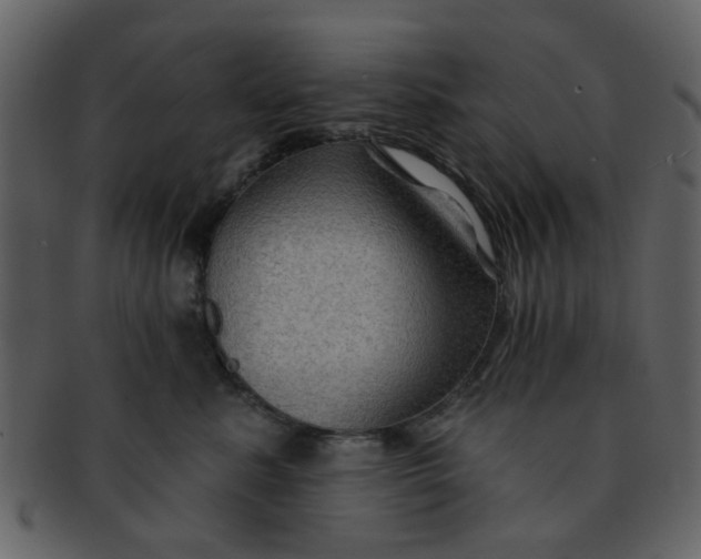 X0000093140619200710171330