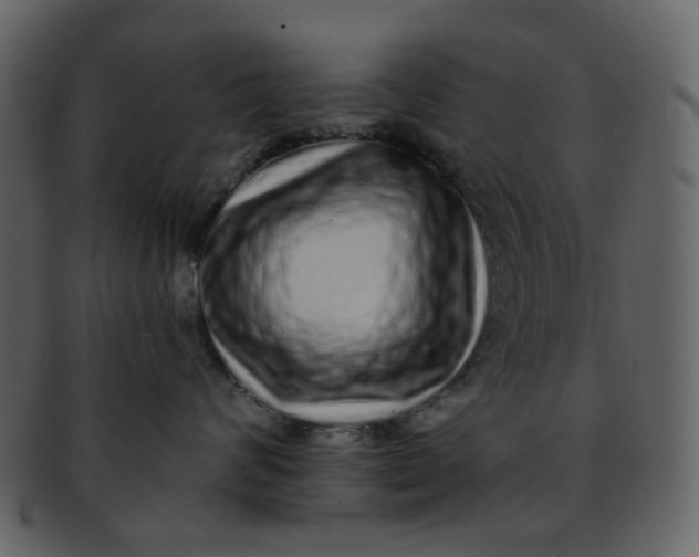 X0000093140624200710171330