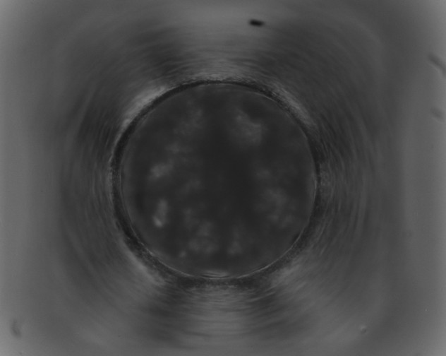 X0000093140626200710171329