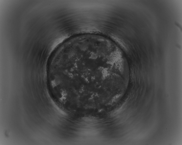 X0000093140630200710171329