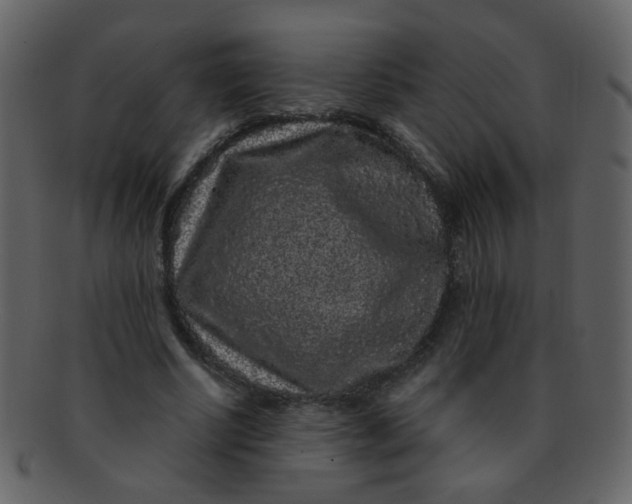 X0000093140634200710171330