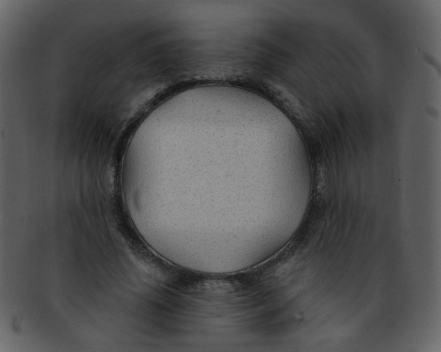 X0000093140636200710171330