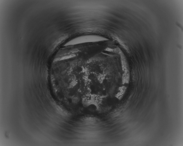 X0000093140637200710171330