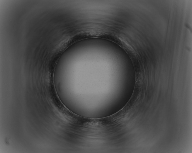 X0000093140639200710171330