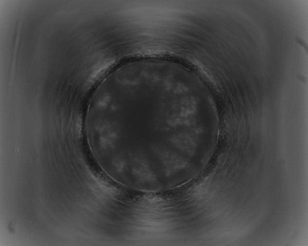 X0000093140640200710171330