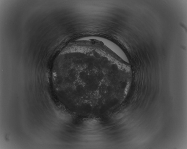 X0000093140643200710171330