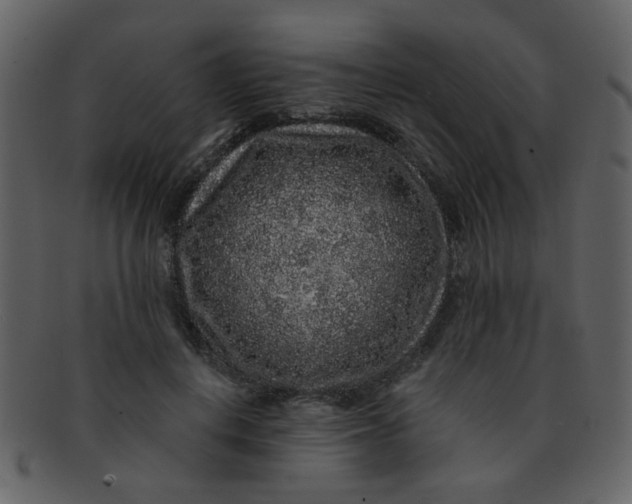 X0000093140648200710171330