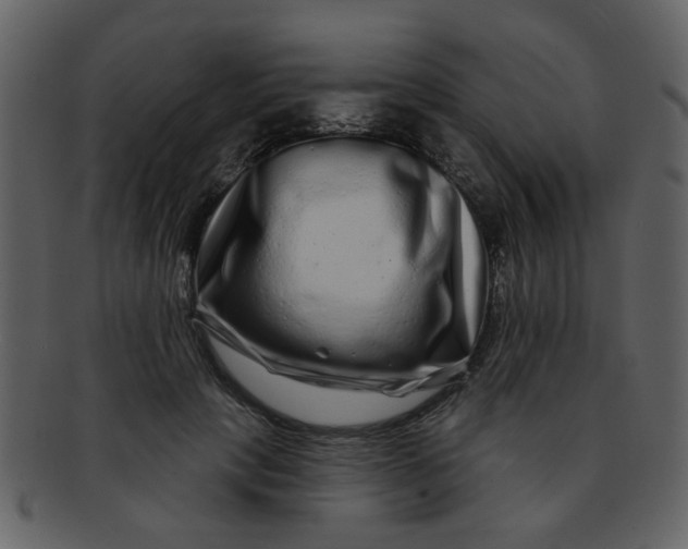 X0000093140649200710171330