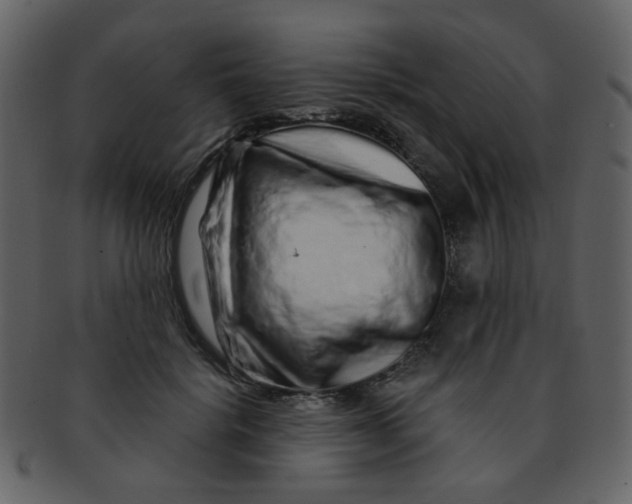 X0000093140652200710171330