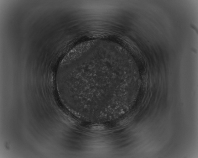 X0000093140653200710171330