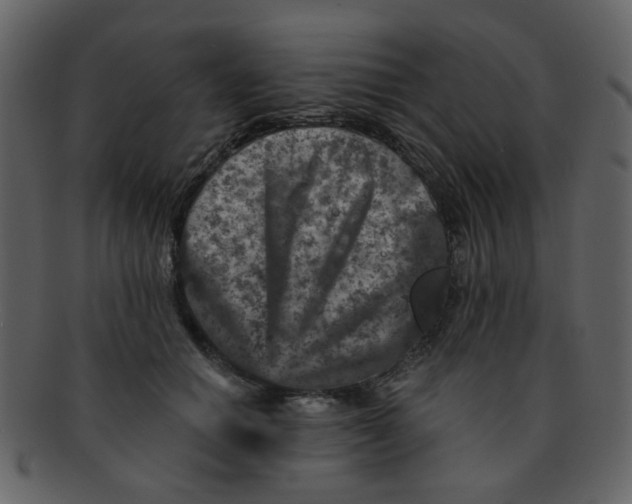 X0000093140654200710171330