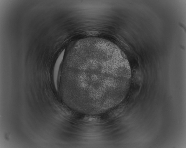 X0000093140655200710171330