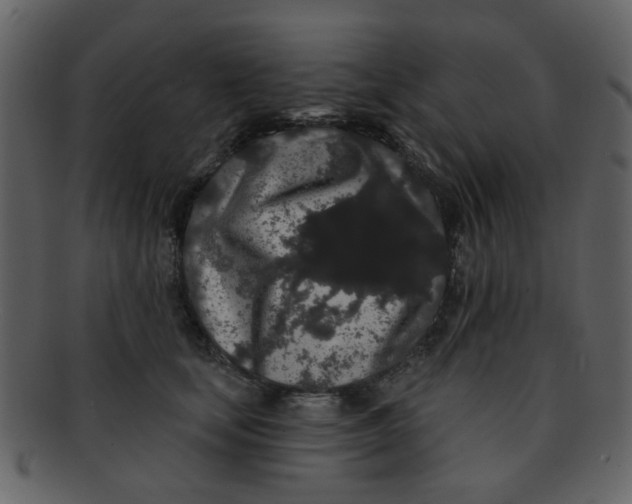 X0000093140659200710171330