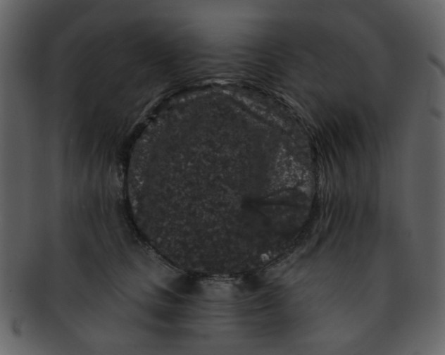 X0000093140661200710171330