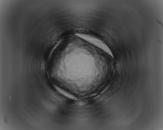 X0000093140662200710171330