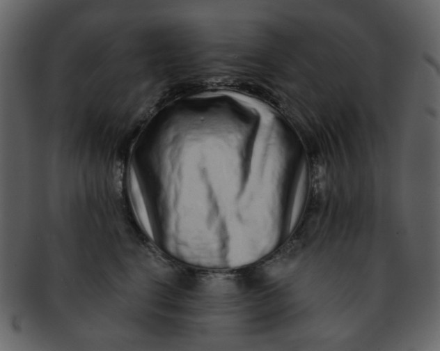 X0000093140664200710171330