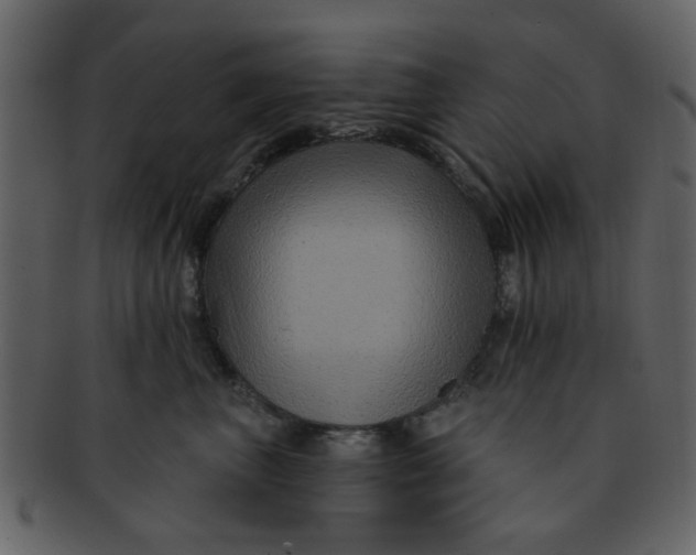 X0000093140667200710171330