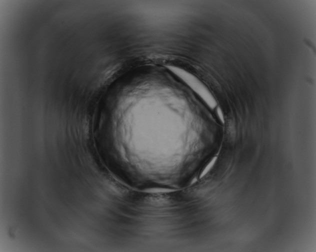 X0000093140668200710171330