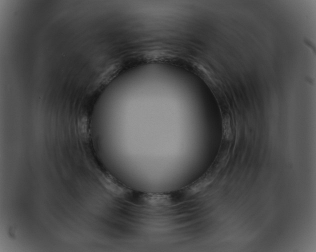 X0000093140670200710171330