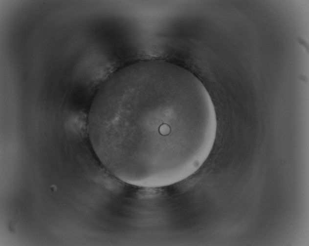 X0000093140672200710171330