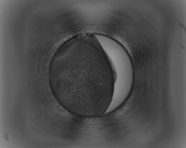 X0000093140673200710171329