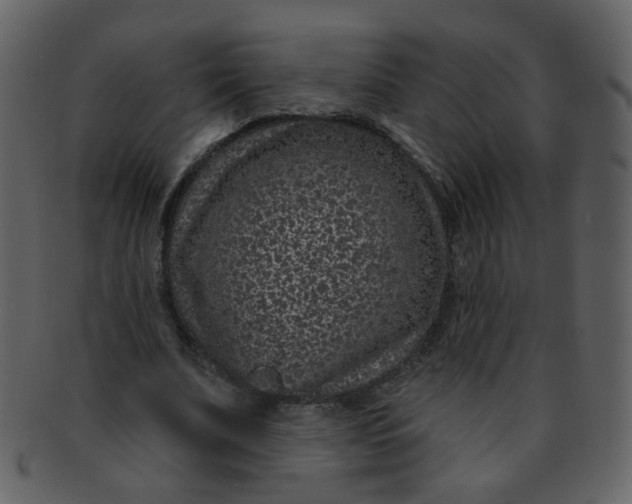 X0000093140679200710171329