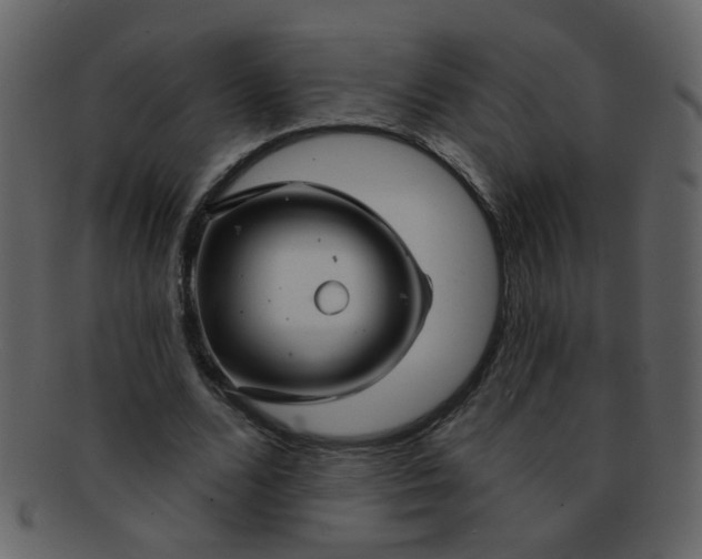 X0000093140680200710171329