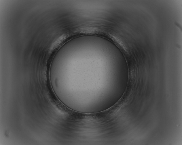 X0000093140682200710171329