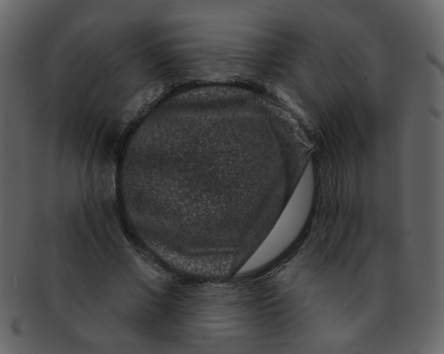 X0000093140685200710171329