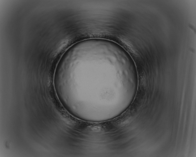 X0000093140687200710171329