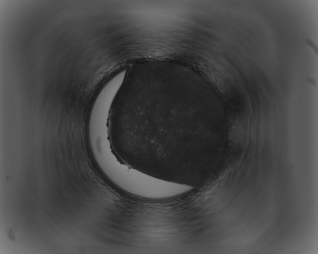 X0000093140689200710171329