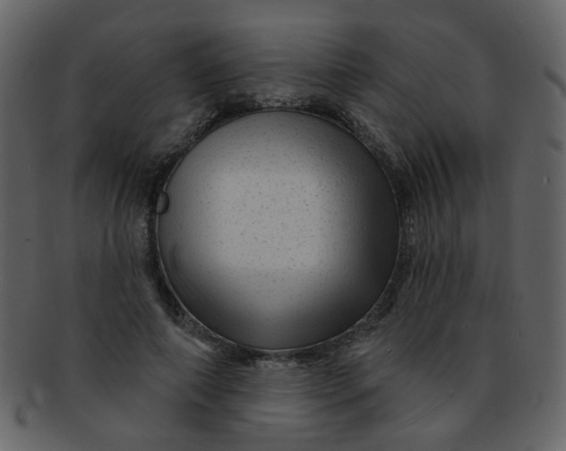 X0000093140690200710171329