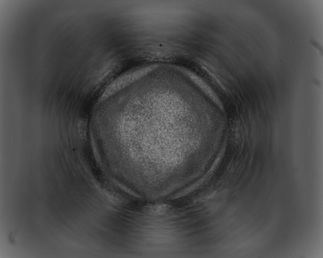 X0000093140695200710171329