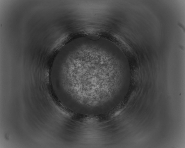 X0000093140696200710171329