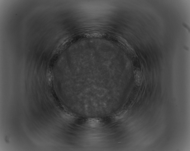 X0000093140701200710171329