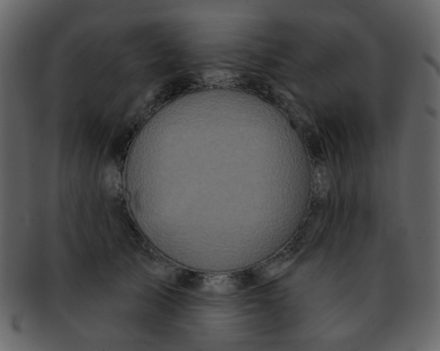 X0000093140705200710171329