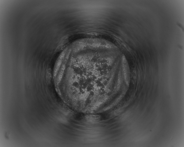 X0000093140707200710171329