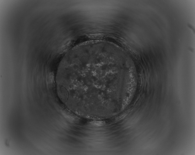 X0000093140711200710171329