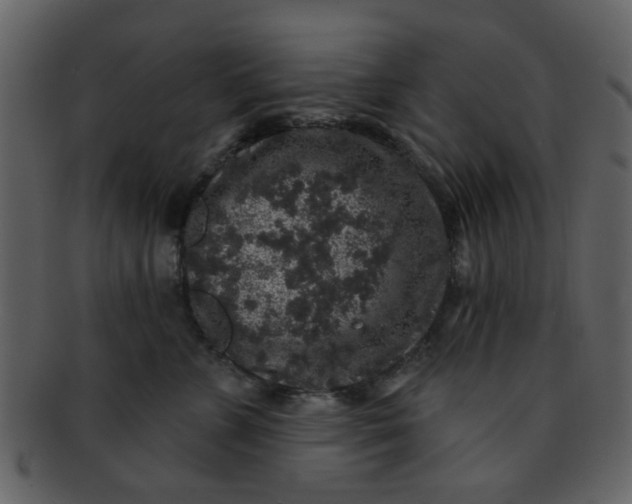 X0000093140715200710171329