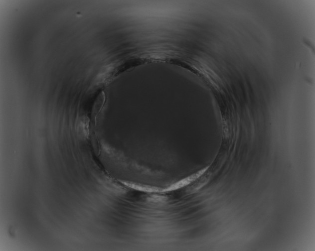 X0000093140718200710171329