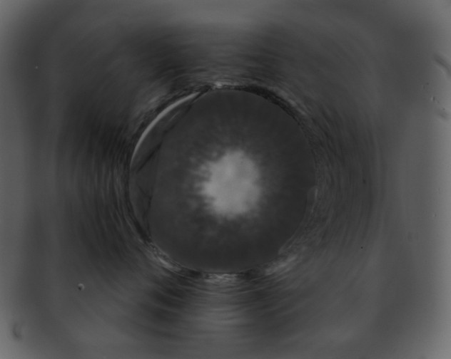 X0000093140720200710171329