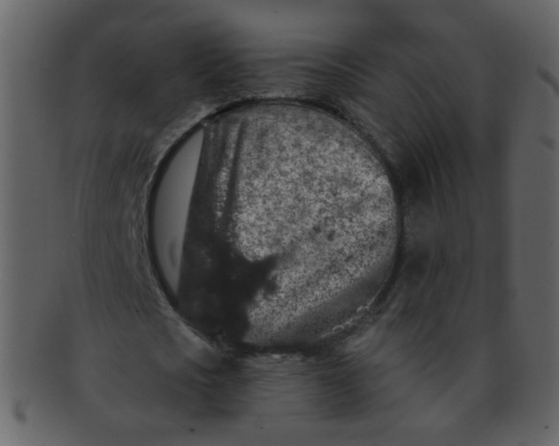 X0000093140721200710171328