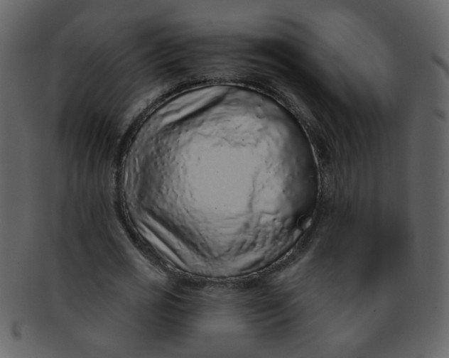 X0000093140725200710171328