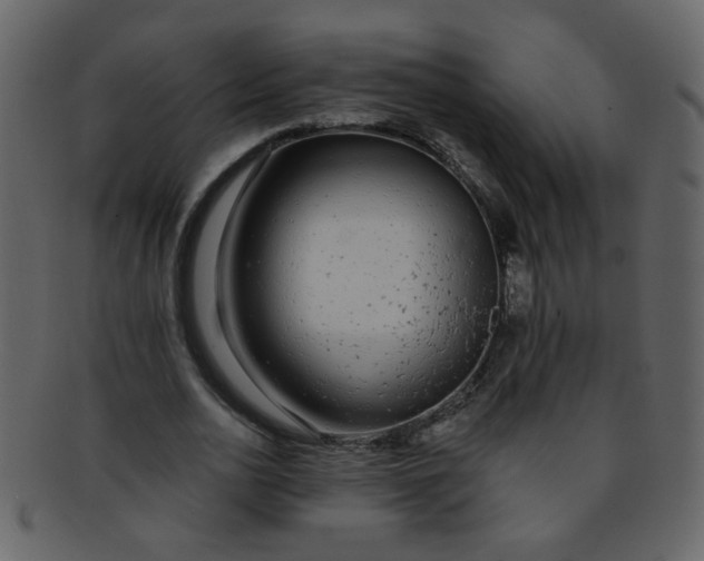 X0000093140726200710171328